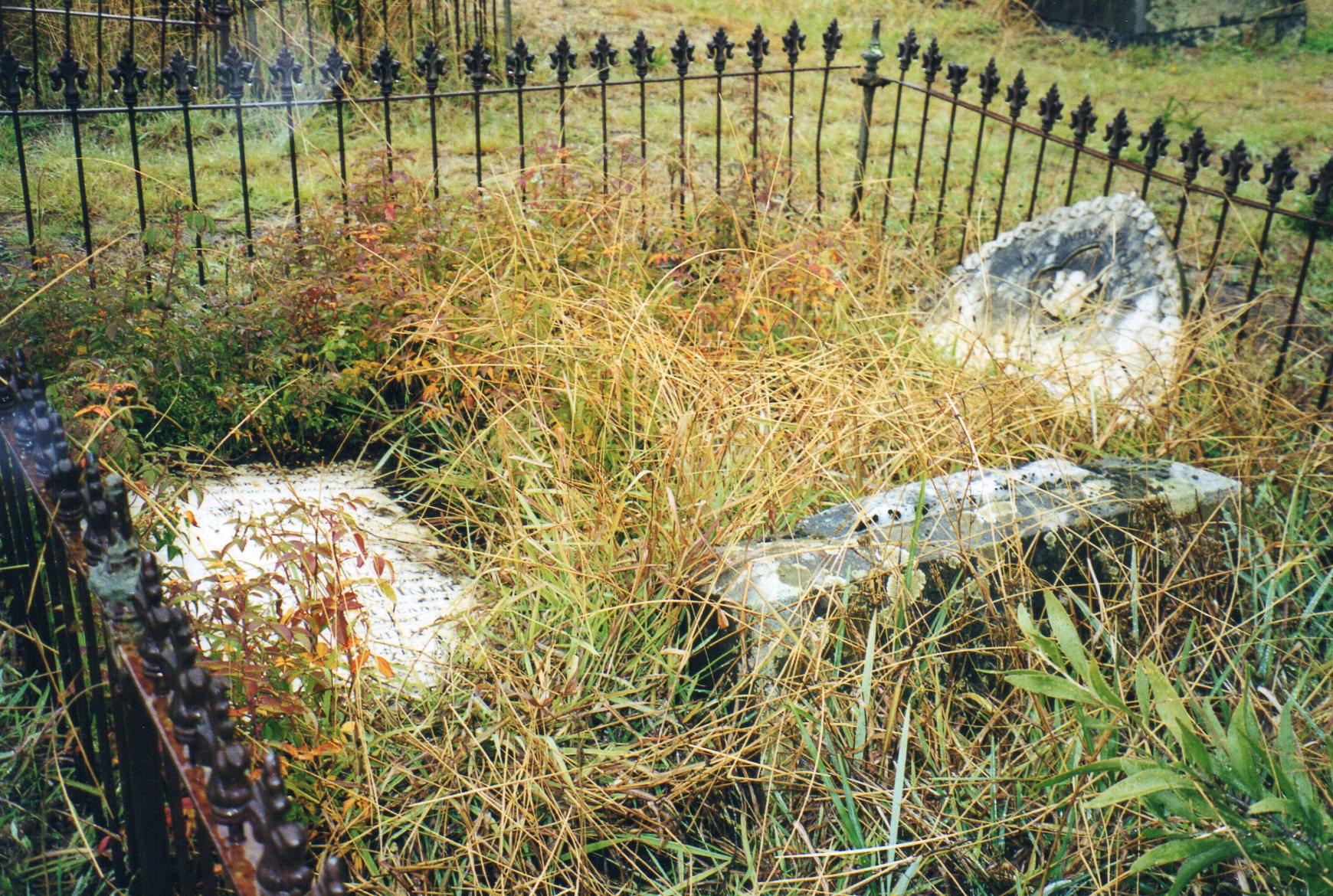 Photo of headstones/Mary McInnes (nee Kelly) & Duncan McInnes hdstns Meredith